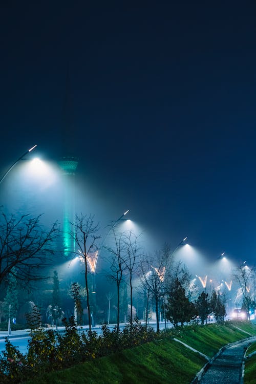 Foto profissional grátis de cair da noite, espaço do texto, iluminado