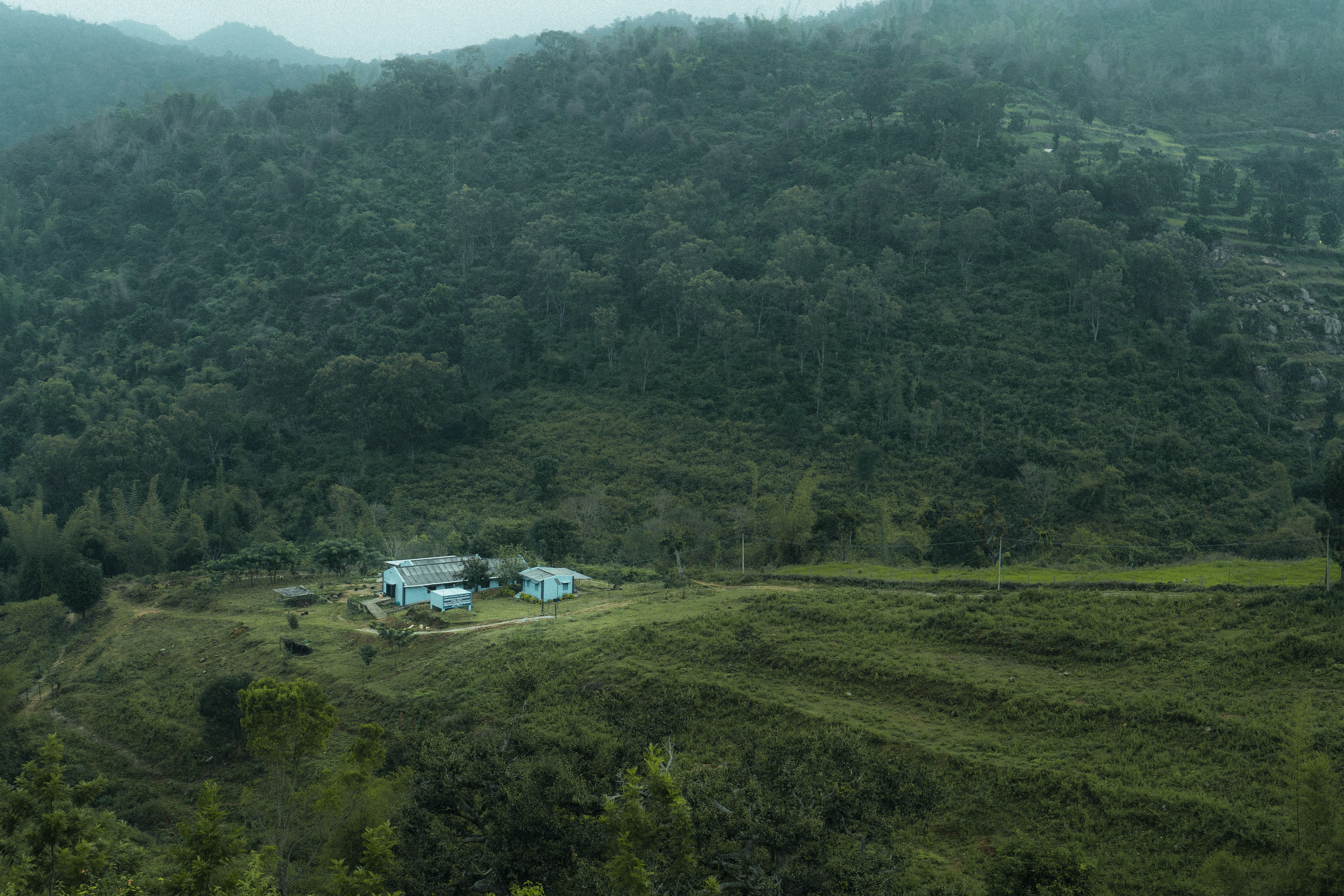 Iruppu Falls and South Coorg: The Quieter Circuit