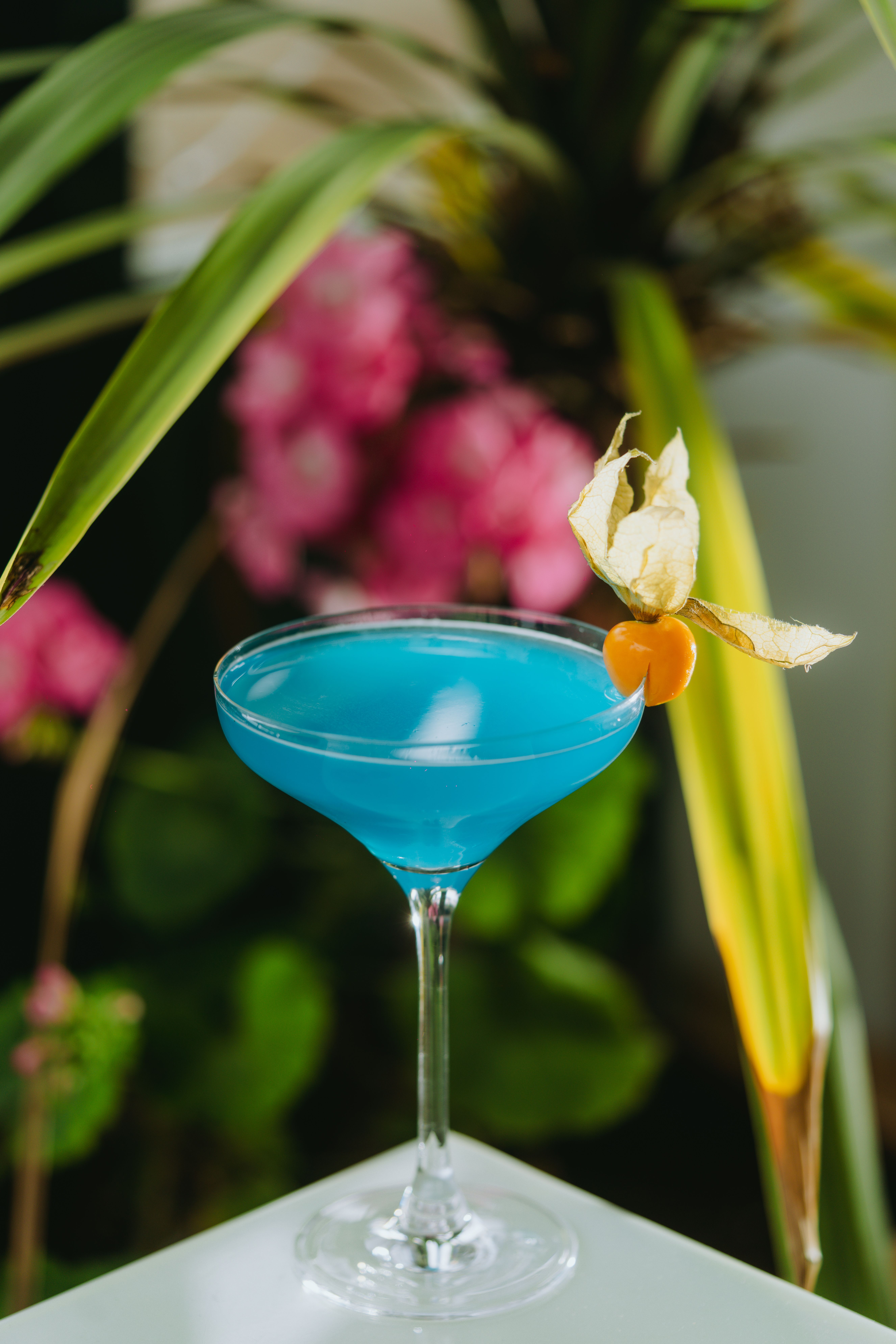 A Blue Cocktail in a Glass · Free Stock Photo