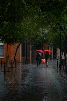 A family with umbrellas walking on a wet city street lined with trees during a rainy day.