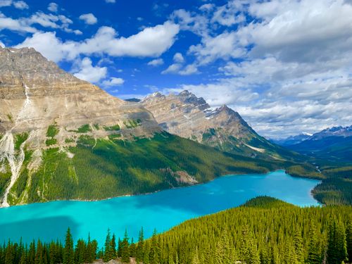 Free Stunning aerial view of Peyto Lake surrounded by mountains in Banff National Park, Alberta, Canada. Stock Photo