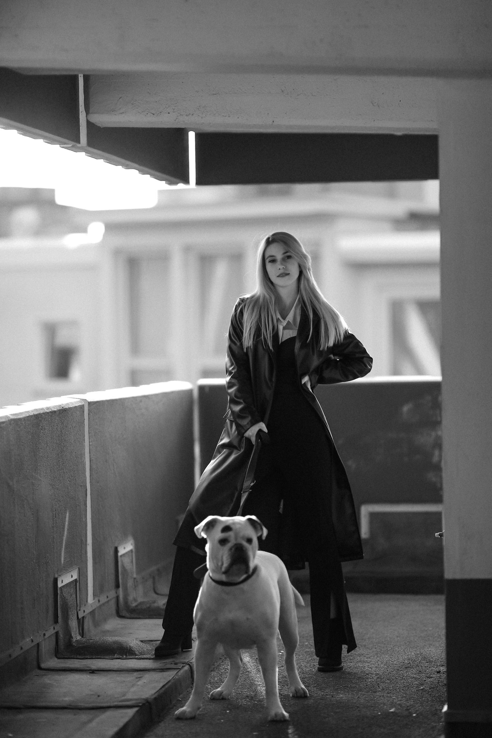 Dog Hates Leash Photos Download The BEST Free Dog Hates Leash Stock dog-hates-leash-photos-download-the-best-free-dog-hates-leash-stock