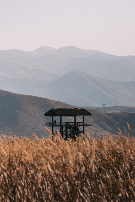 A rustic wooden watchtower stands in a golden field against a backdrop of majestic mountains.