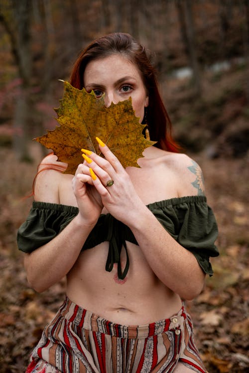 가을, 떨어지다, 모델의 무료 스톡 사진