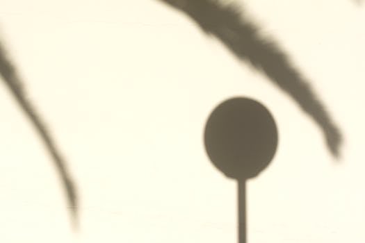 Minimalist image showcasing abstract shadows of a pole and leaves on a wall.