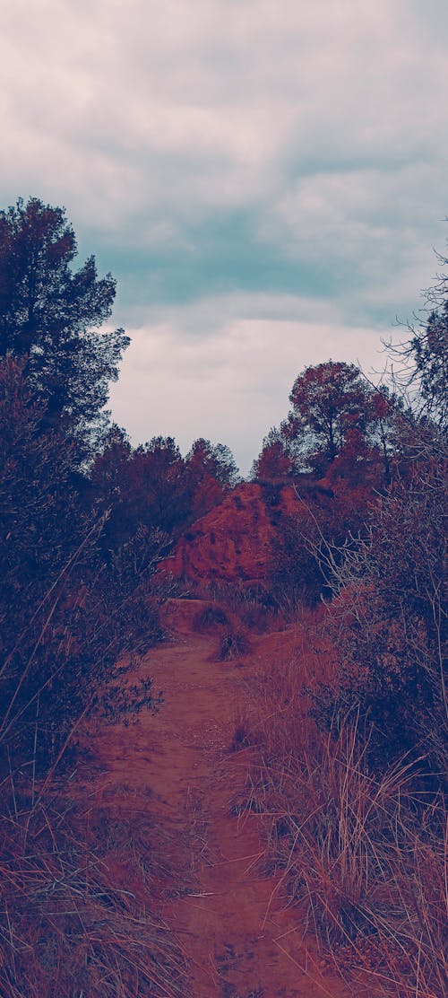 Nature shot at Sant Pere de Ribes