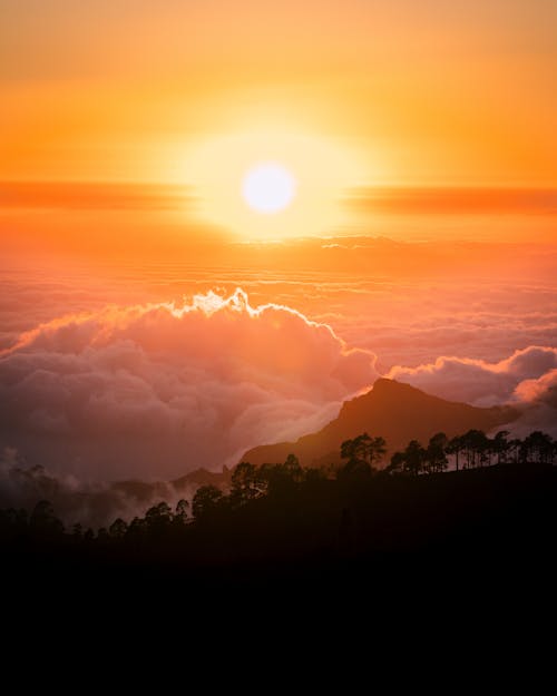 View from a Mountain Peak above Clouds at Sunset 