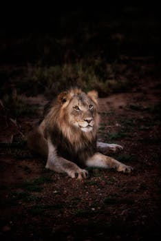Fierce Soul Ignite Your Courage and Conquer