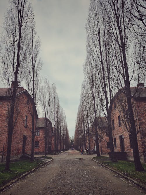 Alley in the Auschwitz Concentration Camp