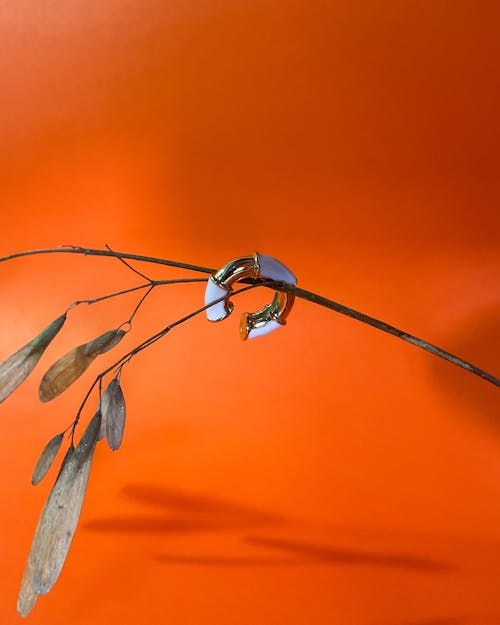 Бесплатное стоковое фото с orange_background, вертикальный выстрел, ветвь дерева