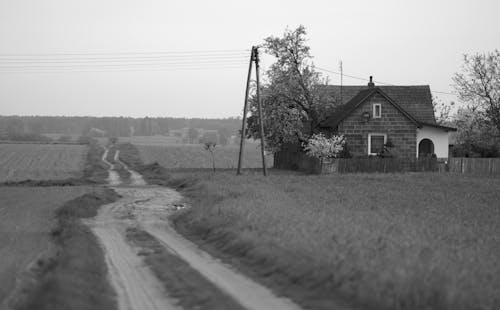 Fotos de stock gratuitas de blanco y negro, camino de tierra, casa
