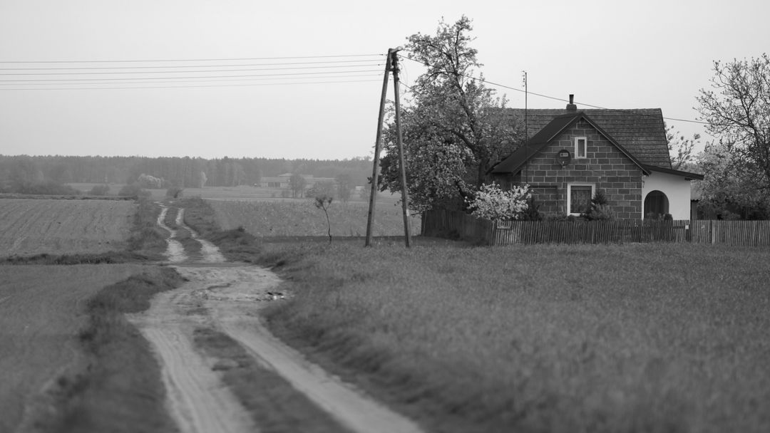 Dirt road through countryside