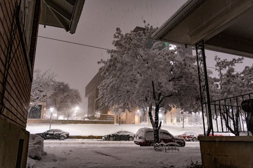 Foto profissional grátis de neve pesada, noite da cidade, urbano