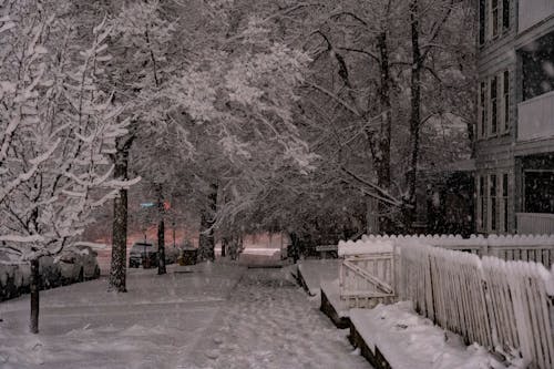 Foto profissional grátis de bairro, neve pesada, noite da cidade