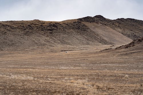 Barren Landscape with Brown Soil