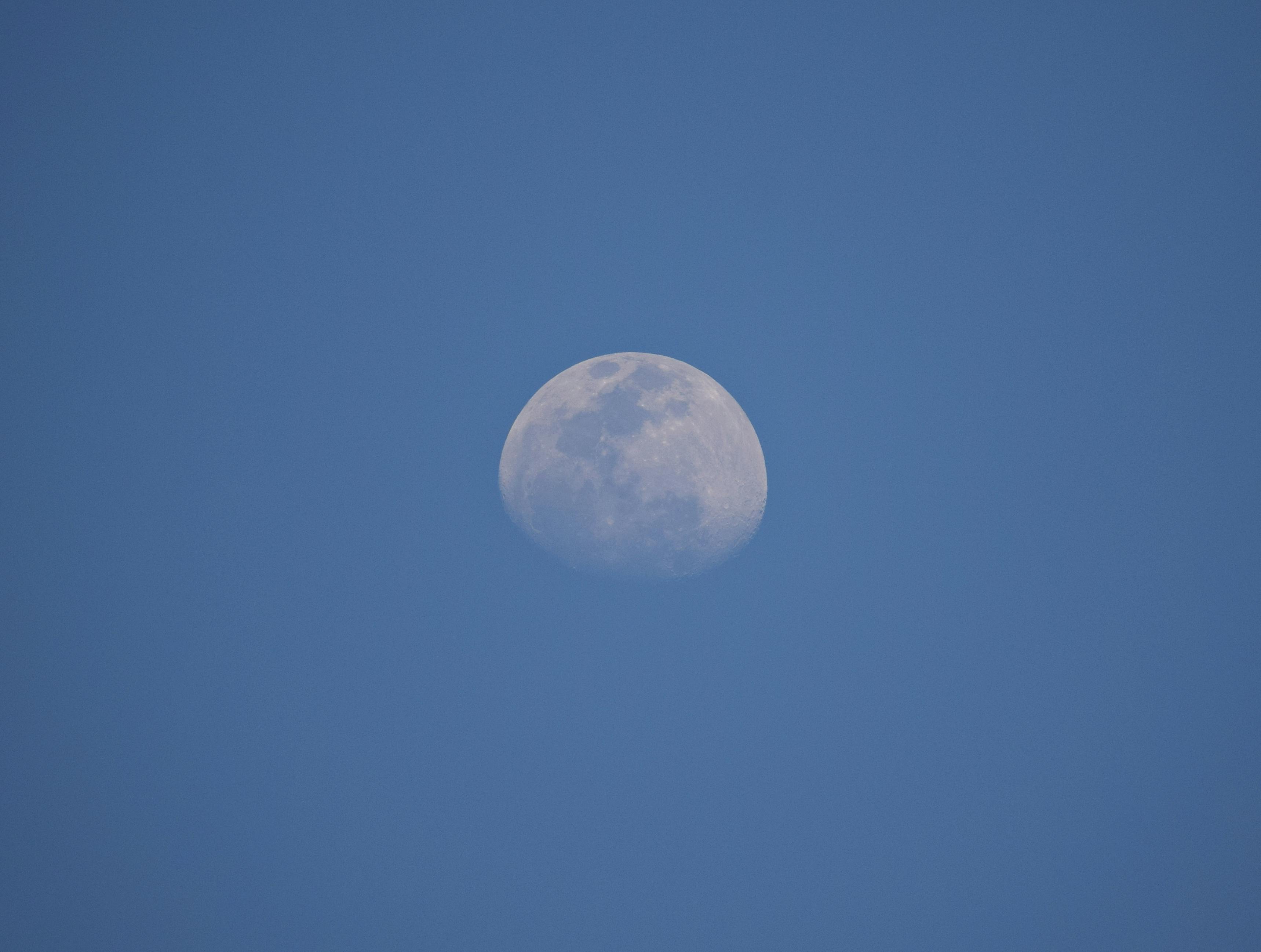Bébé de 6 mois dormant paisiblement dans son lit avec son doudou
