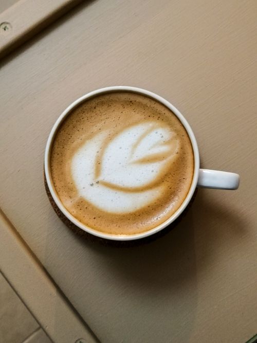 Free Top view of a latte coffee with artistic leaf froth design, captured indoors in İzmir, Türkiye. Stock Photo
