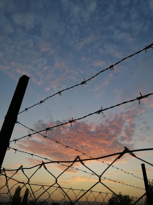 Barbed Wire Fence at Sunset