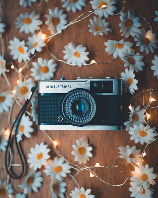 Photo of Analog Camera Surrounded by String Lights · Free Stock Photo