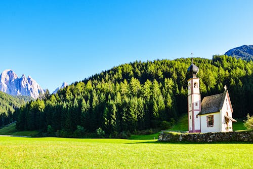 Foto profissional grátis de Alpes, árvores, campo