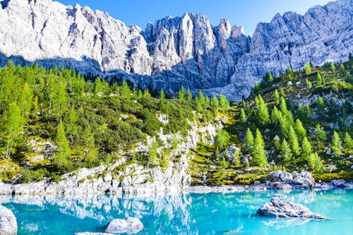 Sunlit Lake and Forest in Dolomites in Italy