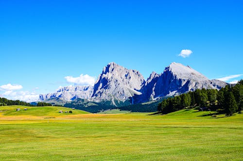 Foto profissional grátis de Alpes, árvores, casas