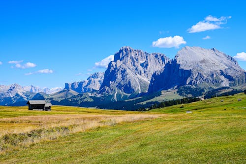 Green Grassland in Dolomites