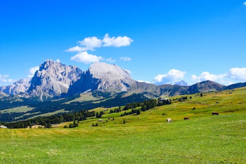 Foto stok gratis dolomit, hijau, itali