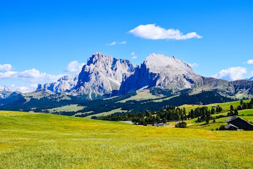 Foto profissional grátis de Alpes, árvores, campo