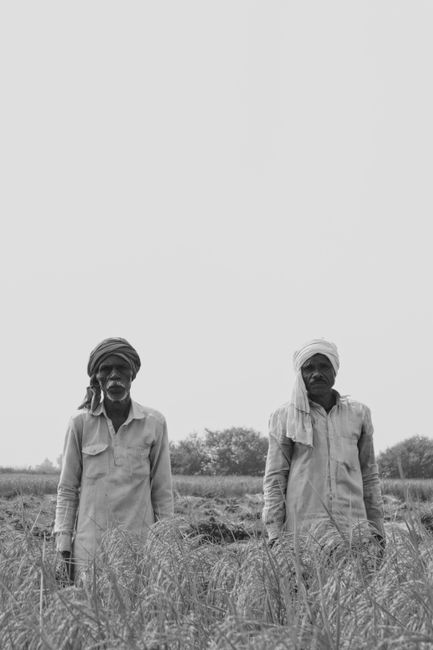 Black and white image of two rural farmers in fields wearing traditional turbans.