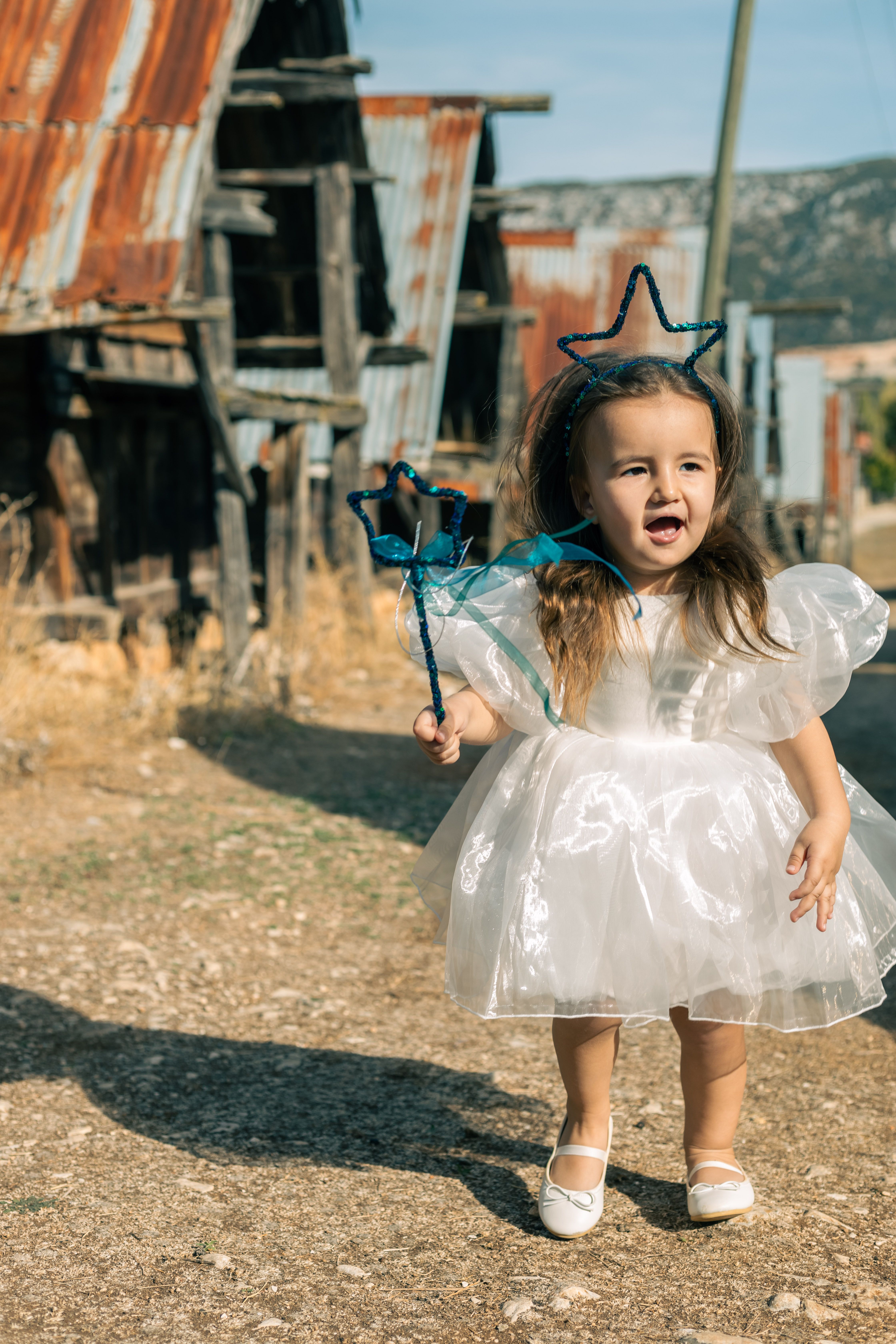 sachin and babi light blue dress Intellifun Girls 4 Piece Princess Fairy Dress Up Costume Set with Wings, Tutu Skirt, Wand and Tiara| Ages 3+ Pink