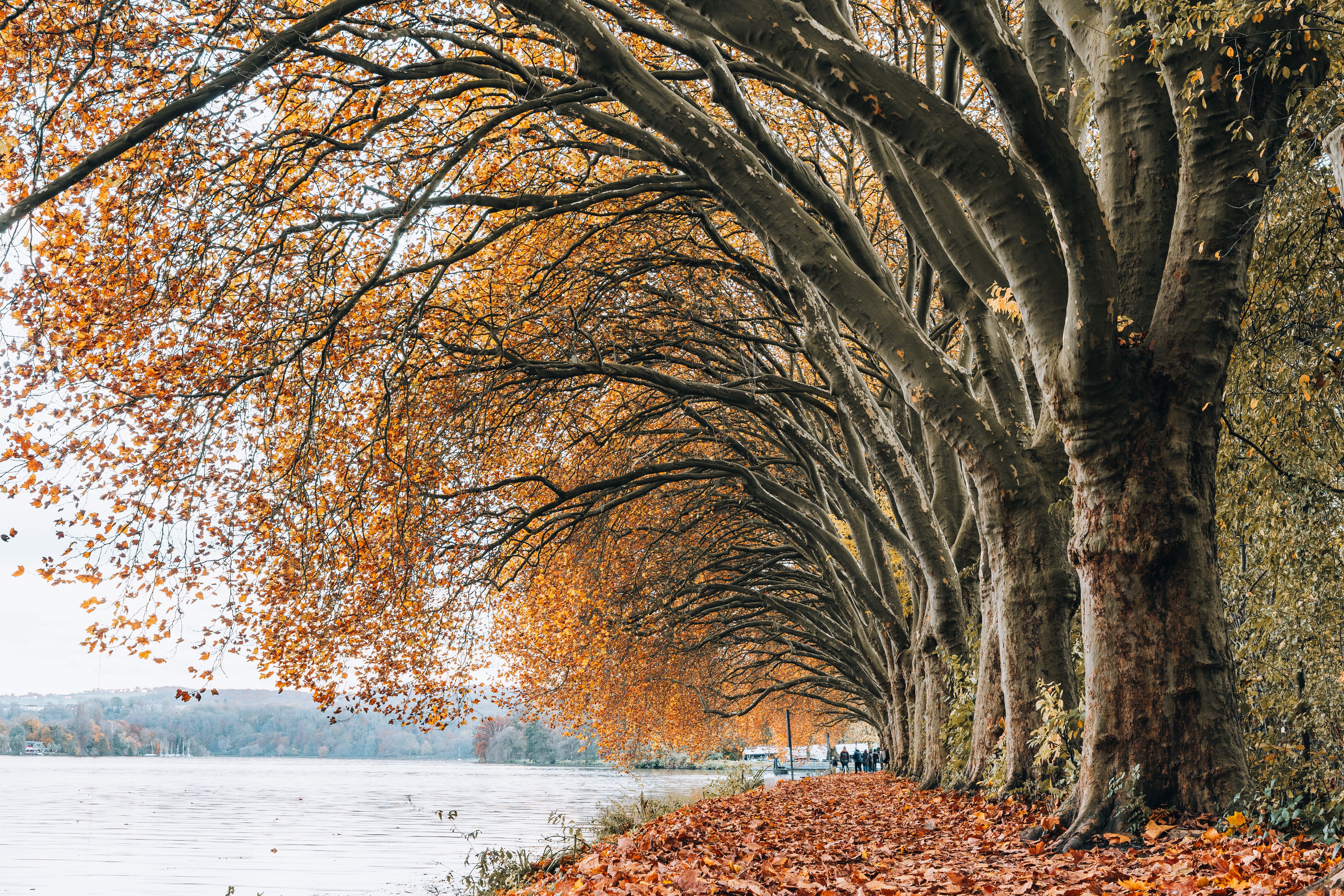 voyage automne europe paysage coloré novembre