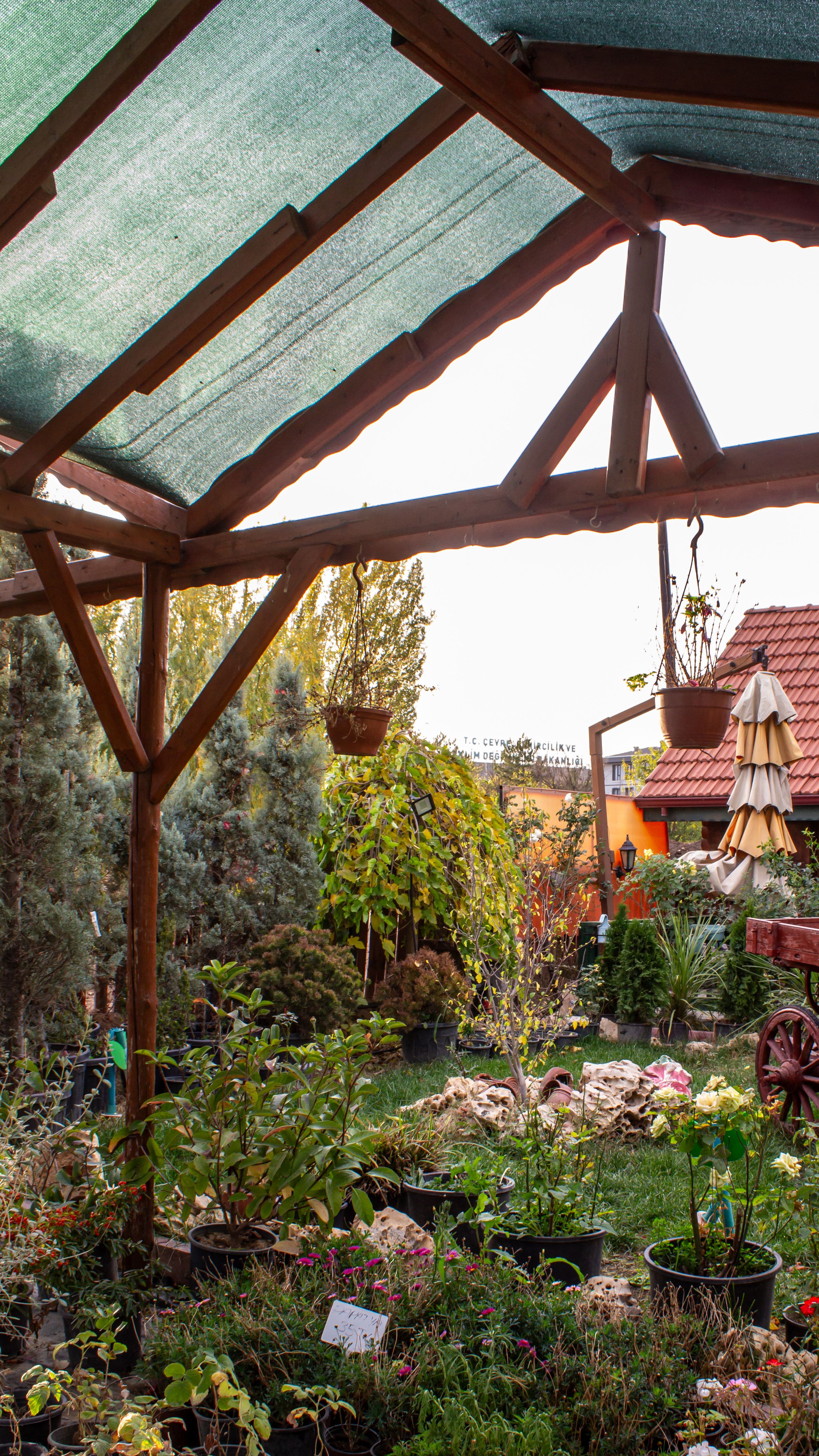 Explore a cozy backyard garden in Gölbaşı, Ankara, showcasing lush potted plants and rustic decor.