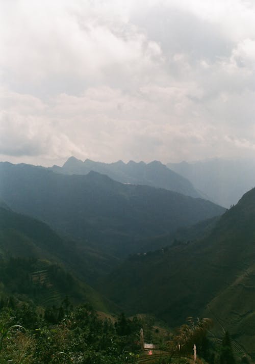 Fog in a Mountain Valley