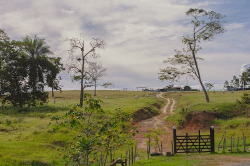 Road between Farms
