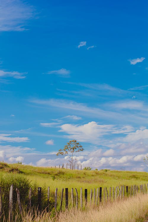 Rural Landscape against a Cloudy Sky 