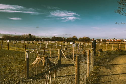 Man Standing in Front of Fences