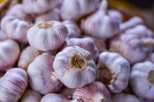 Close up of Garlic