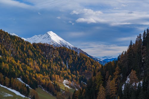 Snow Covered Mountain Peak Between Forested Mountainsides