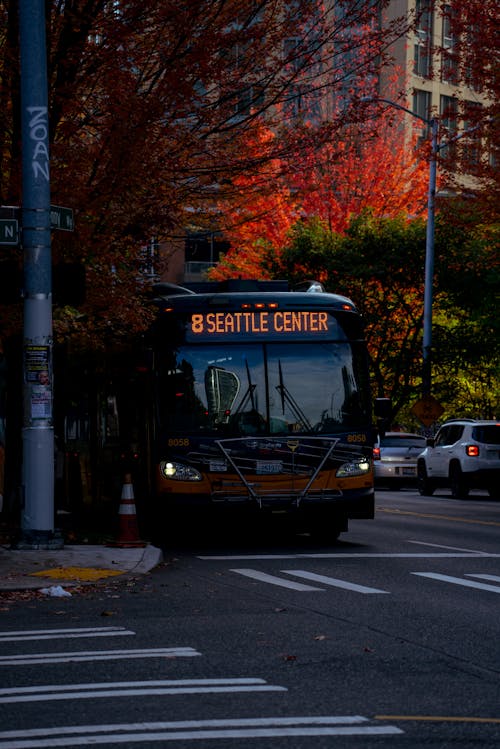 Bus on a Street in Autumn