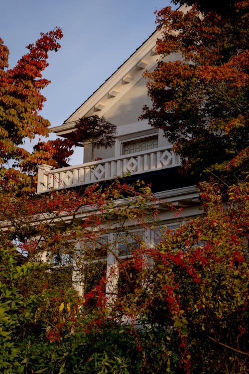 Trees and Shrubs in Autumnal Colors in front of a House 