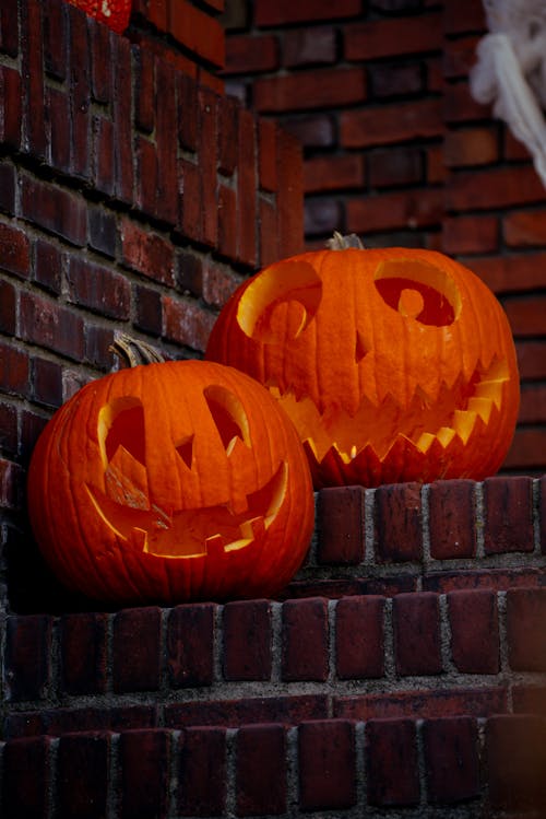 Halloween Decoration in Front of a House 