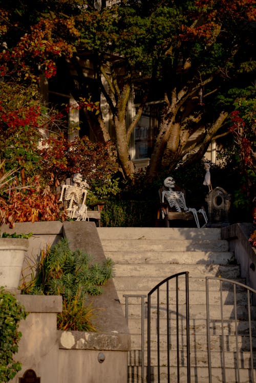 Skeletons on the Stairs in front of a House as a Decoration for Halloween 