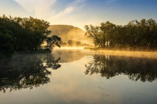 Fotos de stock gratuitas de amanecer, anochecer, bosque