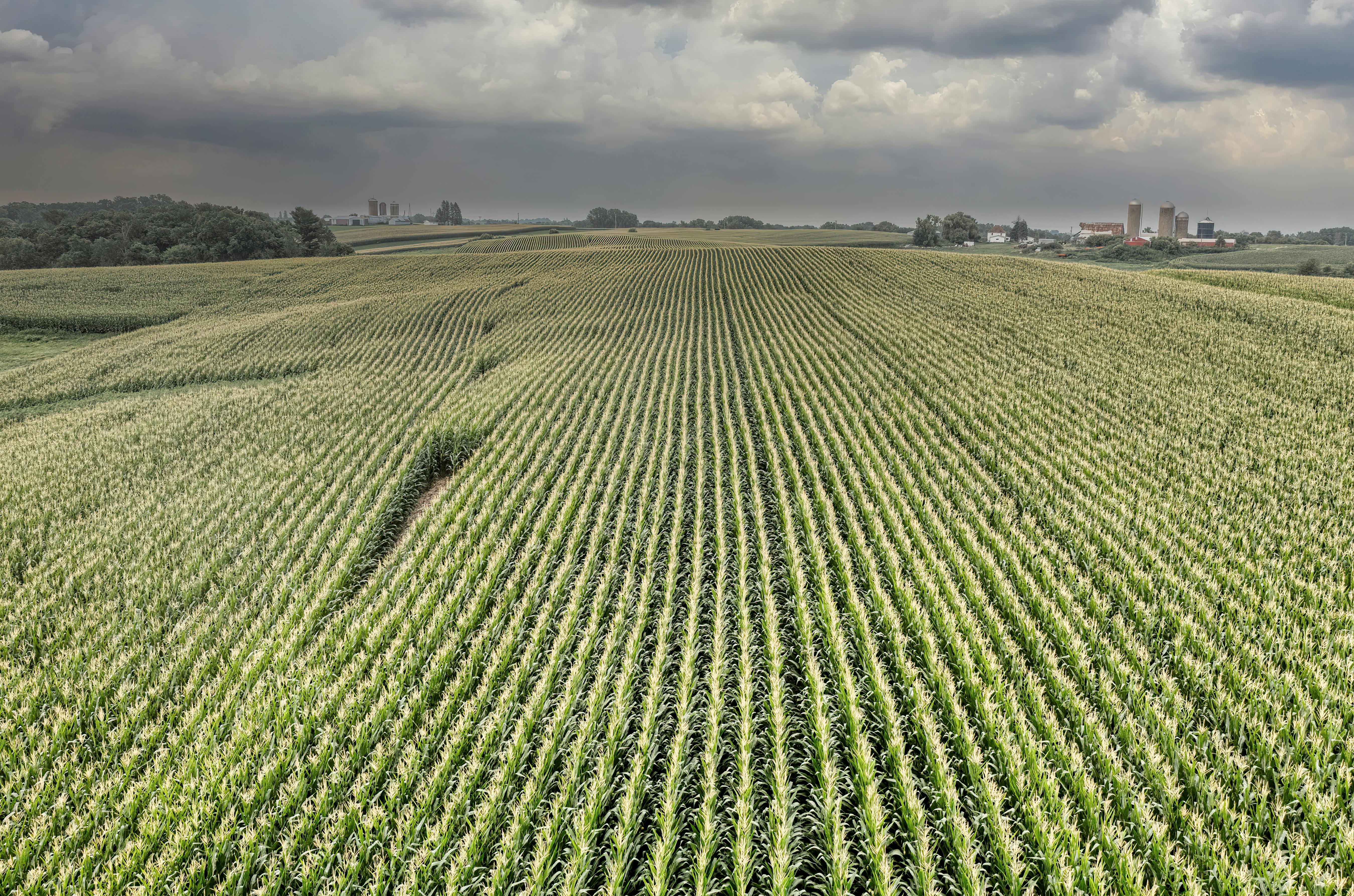 general politics general mills politics — Photo by Tom Fisk on Pexels