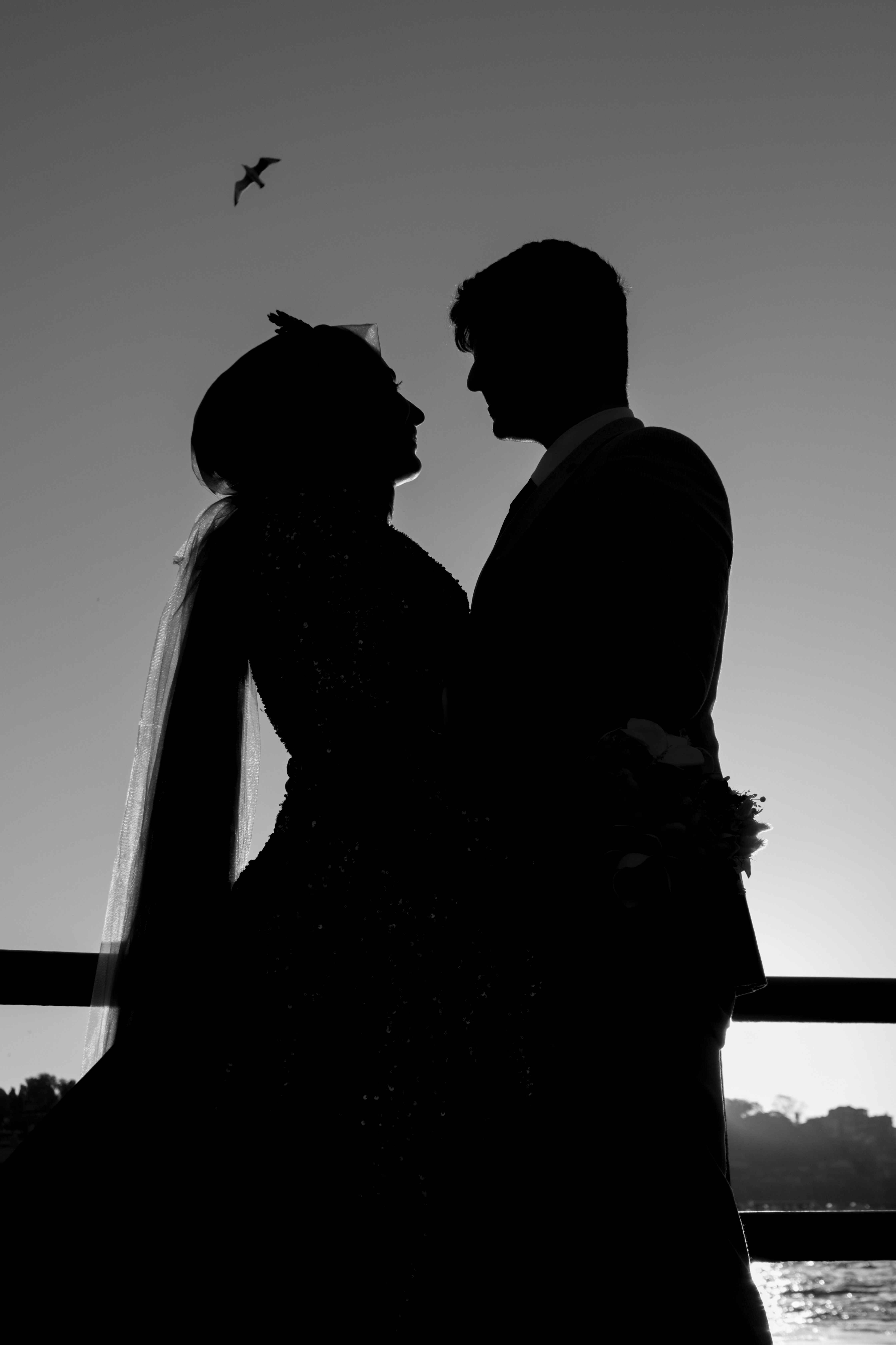 Silhouette of a Bride and Groom Standing Outside · Free Stock Photo