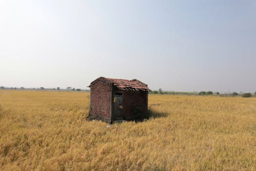 Old Brick Shed in the Middle of a Field