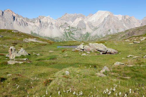 Free Explore the breathtaking alpine meadow with mountain views in Briançon, Provence-Alpes-Côte d'Azur. Stock Photo