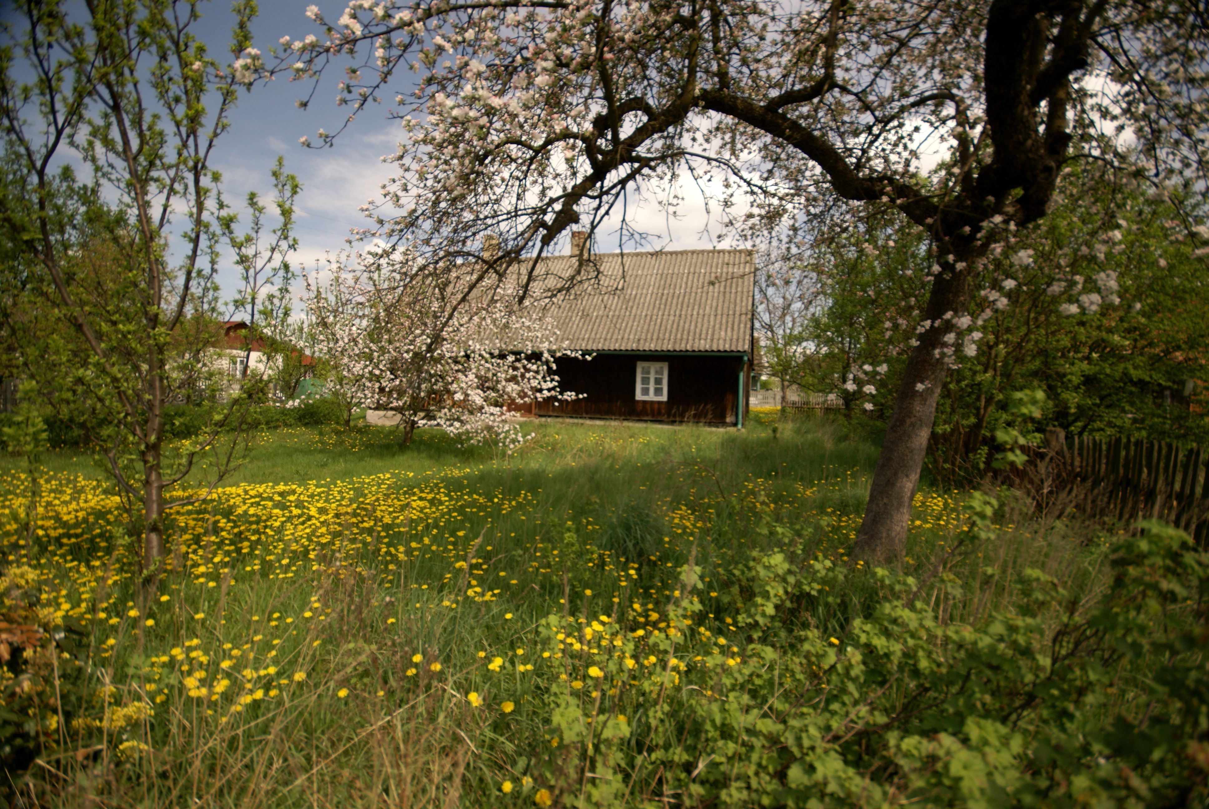 Ogród o różnych porach roku