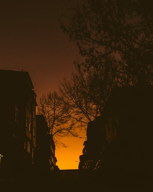 Outline of Houses on a Hill in the Golden Morning Light